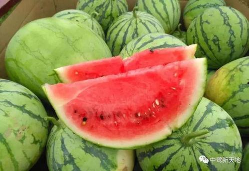 今日吃瓜地址,探寻幕后真相