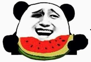 朝阳吃瓜群众什么意思 吃瓜视频在线观看免费版,免费版吃瓜视频，带你领略网络热点风云