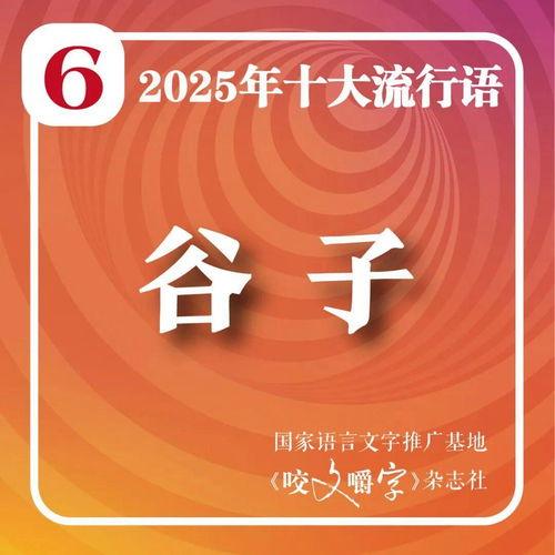 2025十大热点社会现象,十大热点现象深度解析